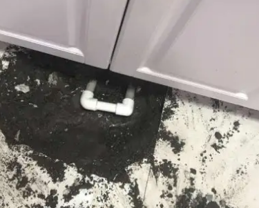 巴青查漏水哪家好