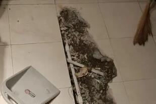 巴青卫生间漏水检测电话